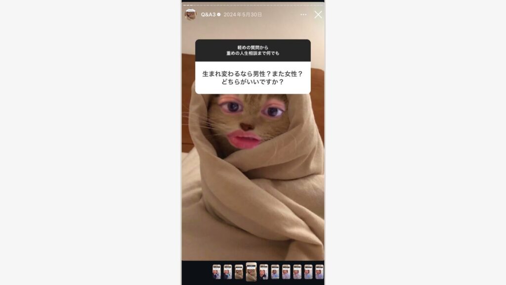 こんな姿のストーリーズ