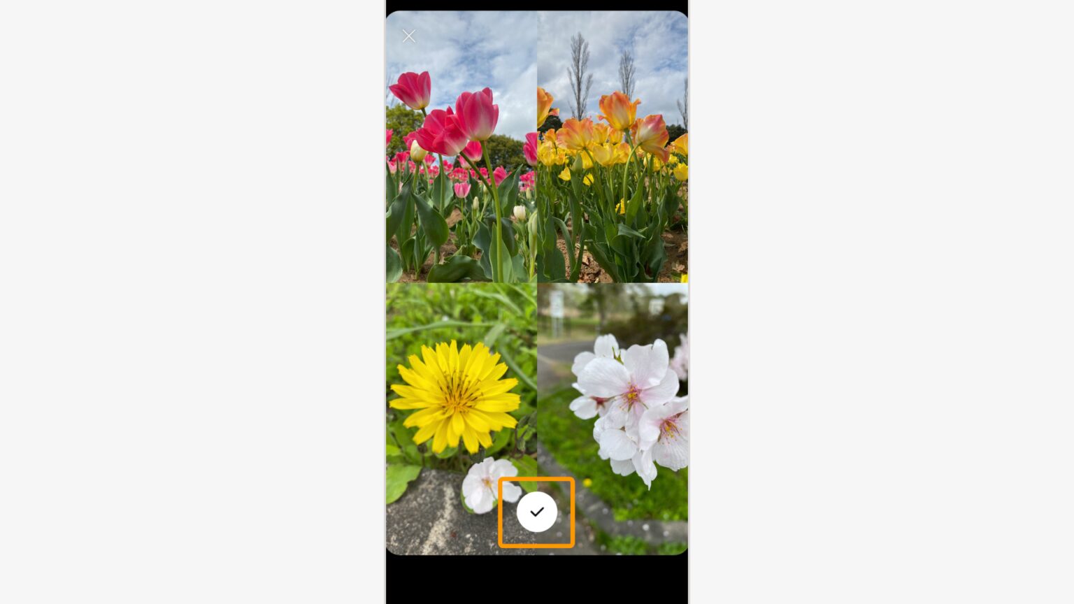 ひとマスずつ順番に写真を選び、下のチェックマークを押して完成