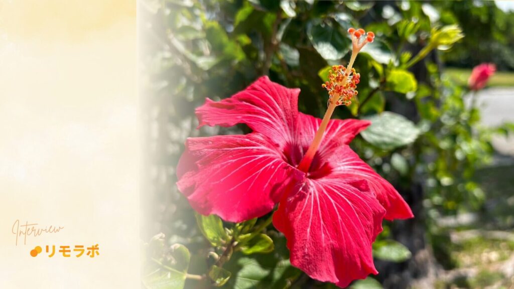 今後は副業から専業のフリーランスを目指す