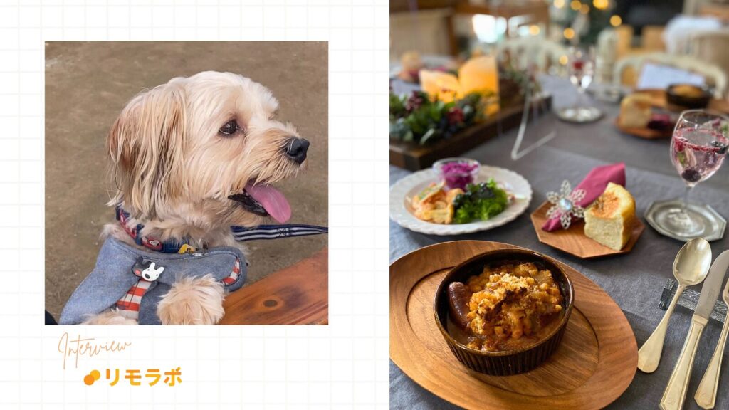 土台を固め自分の可能性を広げる