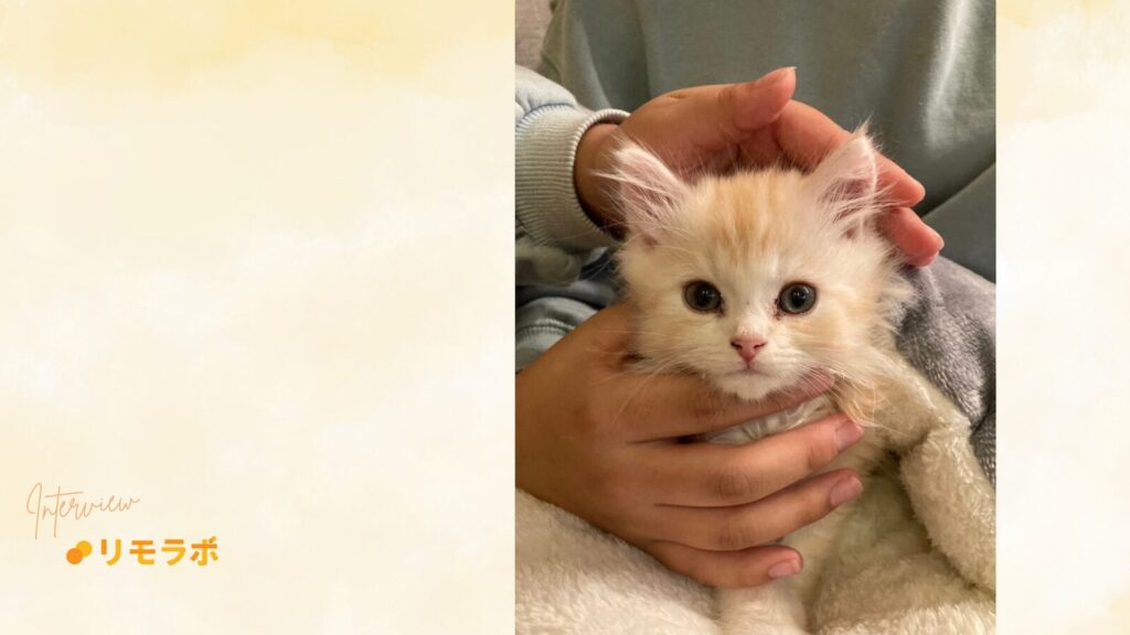 挫折を越え安定収入と充実を得た